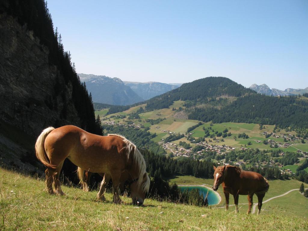 Hôtel Bellachat La Clusaz Esterno foto